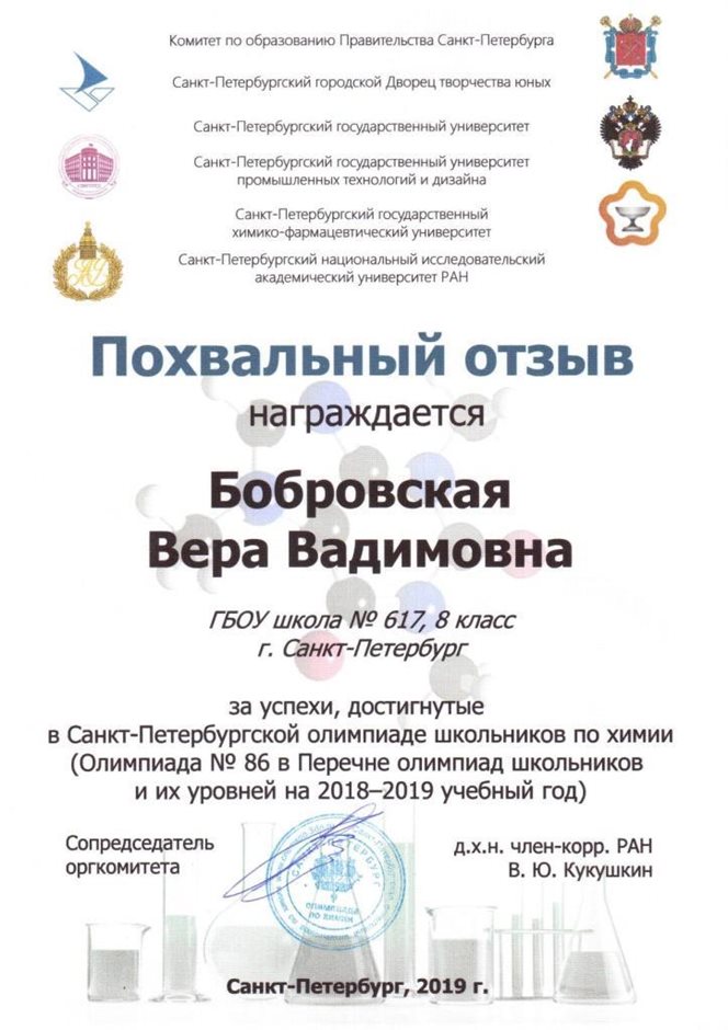 2018-2019 Бобровская Вера 8л (город-химия)